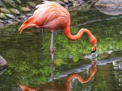 -广东茂名森林公园