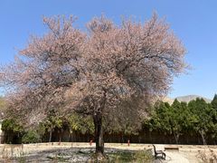 -鲁土司衙门旧址