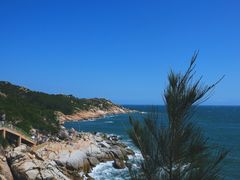 -广东惠东海龟国家级自然保护区