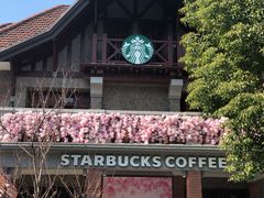 -星巴克臻选(思南公馆店)