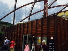 -怀托摩萤火虫洞