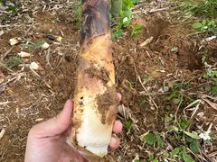 -杭州屏风山越野车营地·团建别墅轰趴民宿