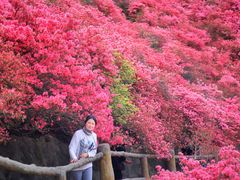 -木兰云雾山