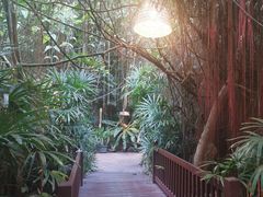 -卷心菜和避孕套餐厅(Pattaya)