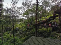 -梦幻奥陶纪景区