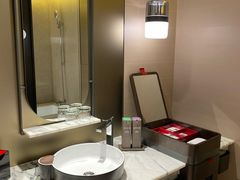 -新加坡瑞士史丹福酒店