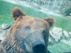 -北京野生动物园