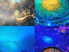 -海合安天津极地海洋公园