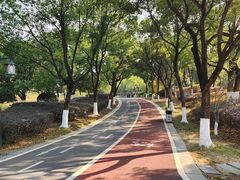 -八大山人梅湖景区
