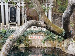 -蝴蝶泉公园