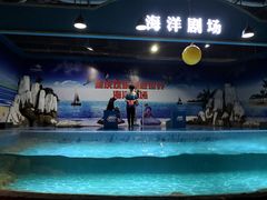 -重庆欢乐海底世界