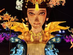 -淄博花灯齐彩城