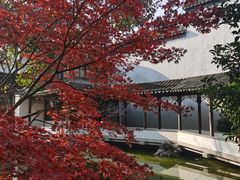 -秋霞圃