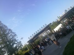 -黄海国家森林公园