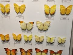-吉林省自然博物馆