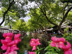 -惠山古镇·寄畅园