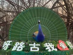 -呀路古热带植物园