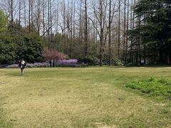 -上海滨江森林公园