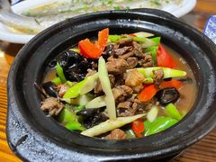 野山笋炖牛腩-呼吸森林·生态农庄农家乐私房菜