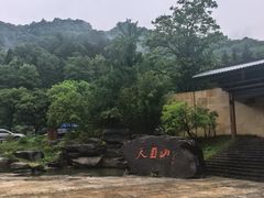 -天目山大树王景区