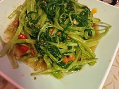 -蝴蝶汇音乐酒馆(罗湖店)