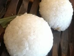 茨毛圆子-双塔老饭店