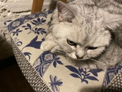 -不舍昼夜咖啡馆