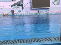 -北戴河圣蓝海洋公园
