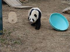 -栾川竹海野生动物园