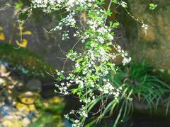 -中国茶叶博物馆(双峰馆区)