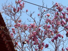 -陶野咖啡·面包披萨