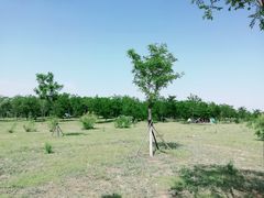 -天津东丽湖风景区