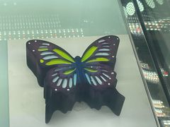 -国家会展中心