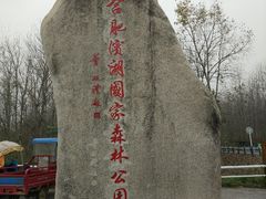 -合肥滨湖国家森林公园