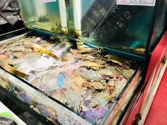 水产区-九层海鲜塔(市南店)