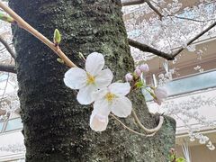 -方圆美味