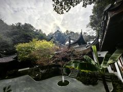 -十八棵（老龙井）御茶园(老龙井店)