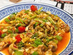 -新蜀会四川豆花(五羊店)