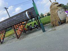 -嘉北郊野公园