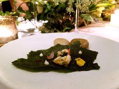 -蝶舍·MAISON PAPILLON