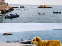 -东极岛景区
