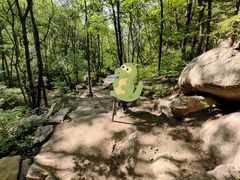 -大岭沟猕猴桃谷风景区