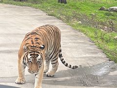 -西安秦岭野生动物园