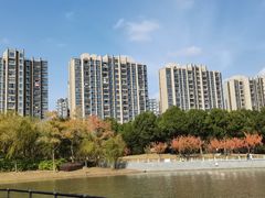 -南翔镇银翔湖公园