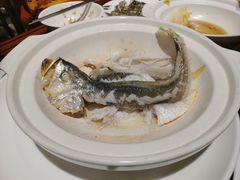 -陈鹏鹏潮汕菜(欢乐海岸 海边景观店)