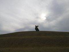 -春花秋色城市公园