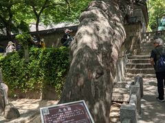 -青岛崂山太清宫
