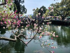 -无锡蠡湖国家湿地公园-蠡园