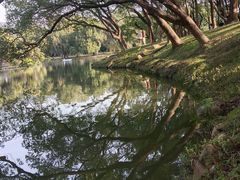 -大屏嶂森林公园
