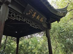 -上海佘山国家森林公园天马山园